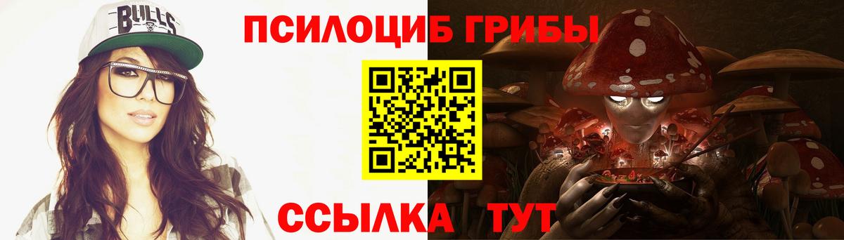 Дальнереченск  где купить наркоту  Вход с VPN  Галлюциногенные грибы GOLDEN TEACHER 